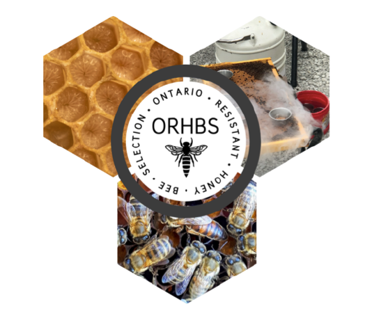 ORHBS logo